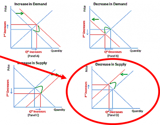shift of the demand & supply curves vs. movement along... Abm 311 Intermediate Microeconomics Theory Preliminary Examination ...