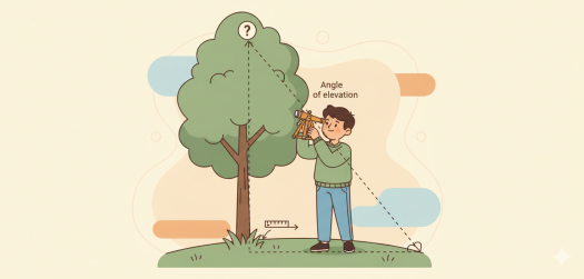 Finding Heights Using Angles Of Elevation - Quiz