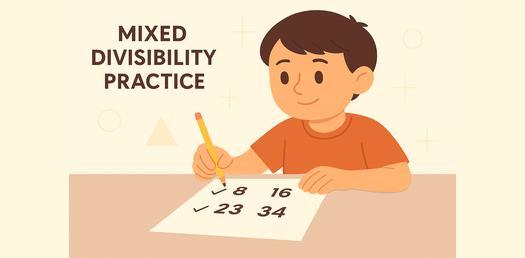 Mixed Divisibility Practice - Quiz