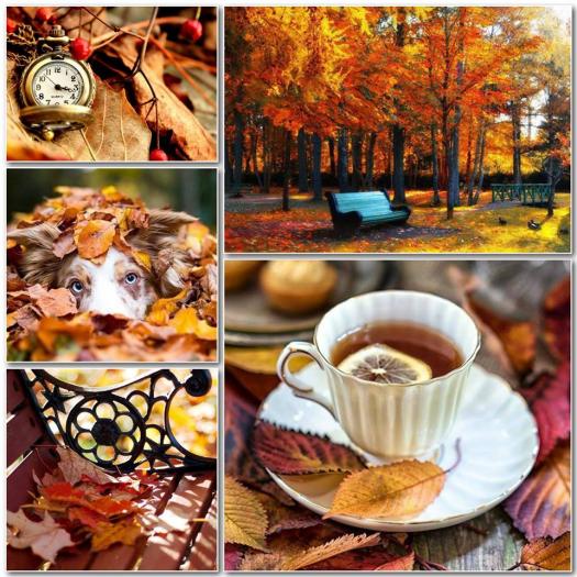 starke Verben Training