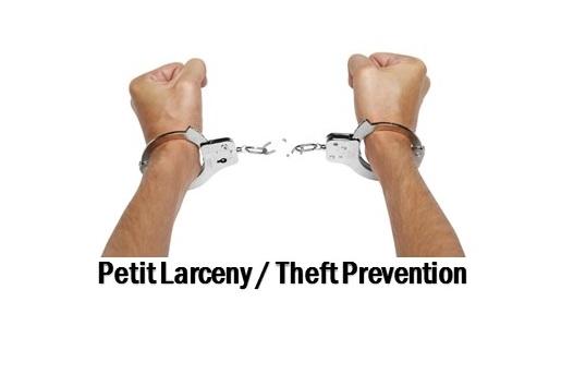 OLD AIC $25 5 Hr Petit Larceny/ ANTI-Theft CLASS/ Shoplifting Awareness CERTIFIED COURT ORDERED ONLINE CLASSES WEB POG