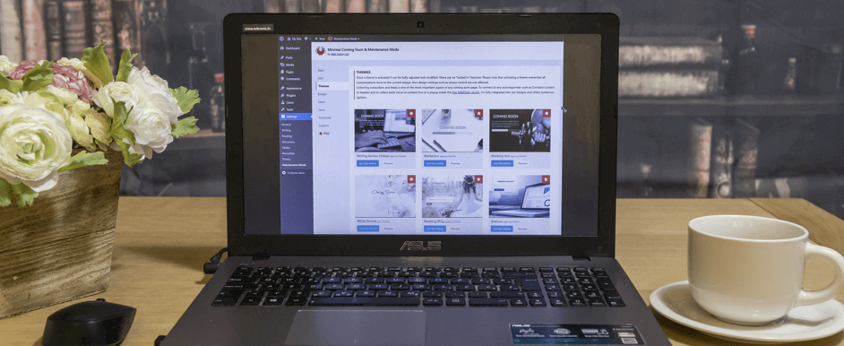 10 Best Quiz Plugins for WordPress in 2021