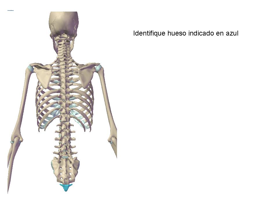 Chuleta