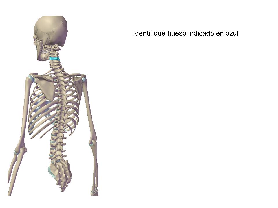 Chuleta