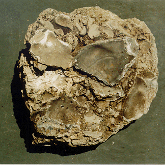 Name this rock/mineral. If its a rock, what class?