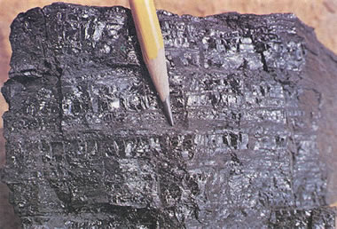 Name this rock/mineral. If its a rock, what class?