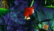 Donkey Kong