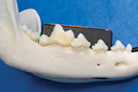 x-ray figure