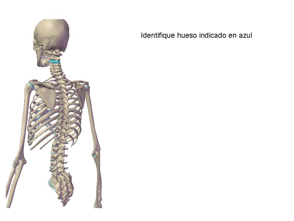 Chuleta