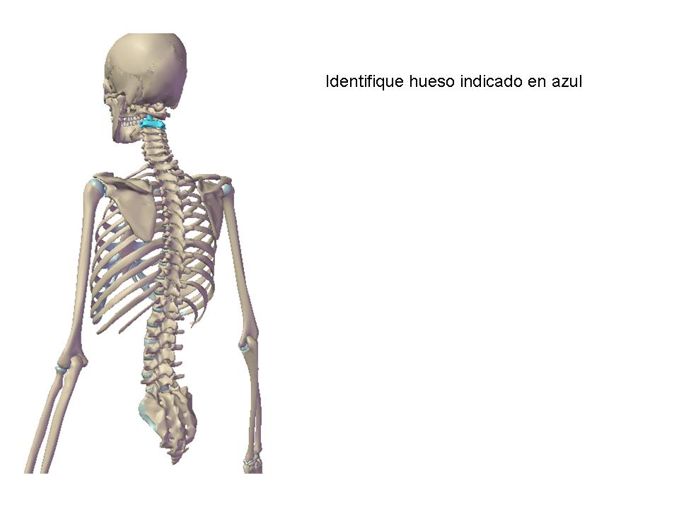 Chuleta