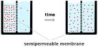 Diffusion