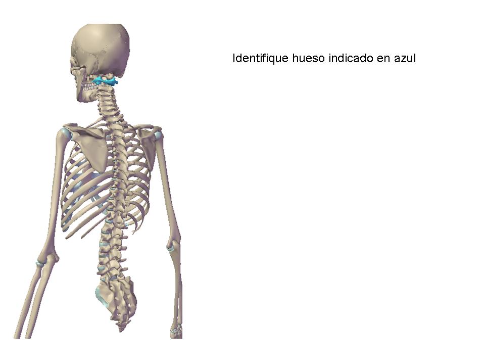 Chuleta