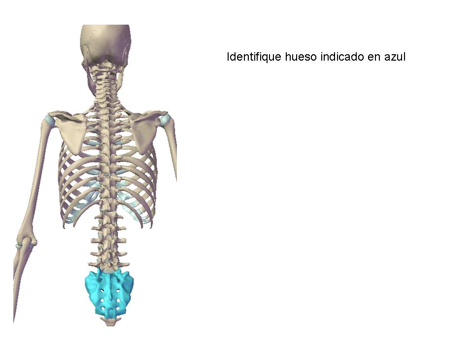 Chuleta