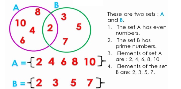 What can you conclude from the following figure?