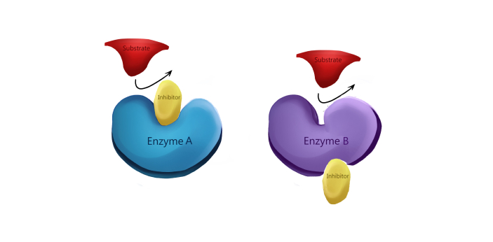 Irreversible Enzyme Inhibitors and Reversible Enzyme Inhibitors are two types of enzymes Irreversible Enzyme Inhibitors and Reversible Enzyme Inhibitors are two types of enzymes